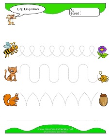 Çizgi Çalışma Sayfaları